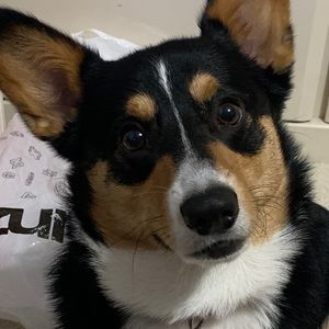 Meet your Posher, Ian